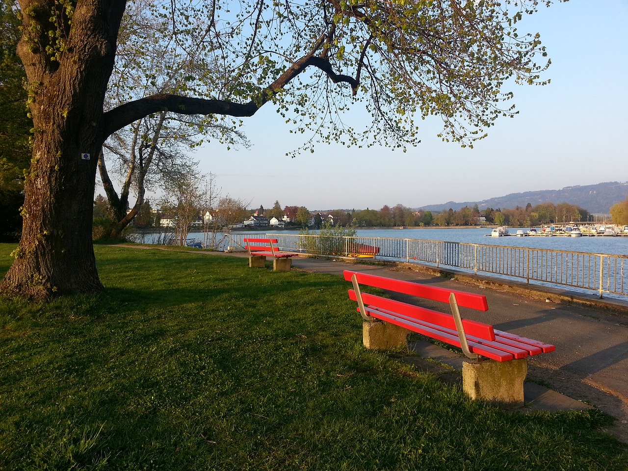 也让对手感 也让对手感