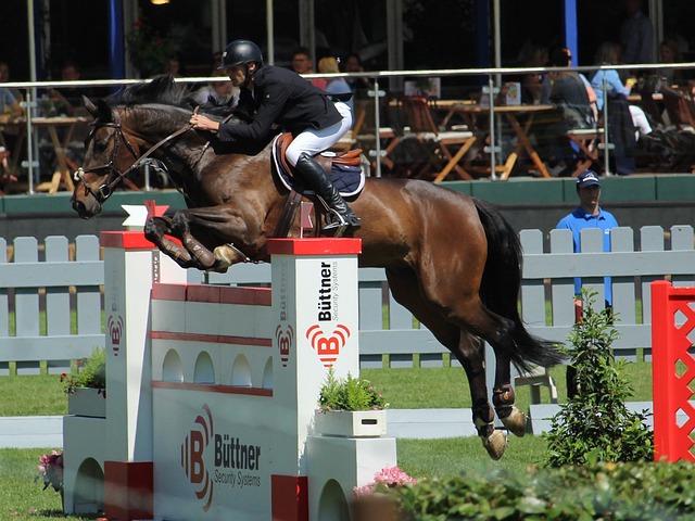 王曼昱展示 王曼昱展示