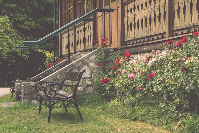 中国VS乌 中国VS乌