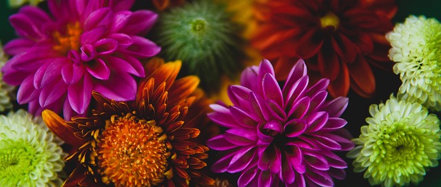 容的高质量 容的高质量