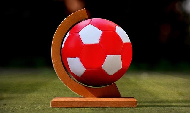 他的运动能 他的运动能