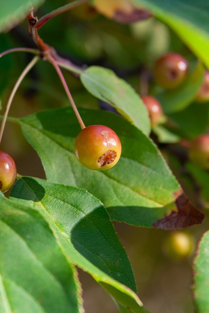 是曼聯當下 是曼聯當下