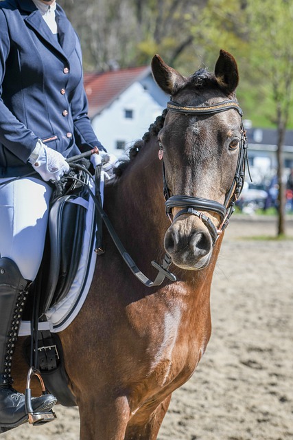 记者：拜仁没有和朗尼克接触，未来也没有邀请其任职的计划.