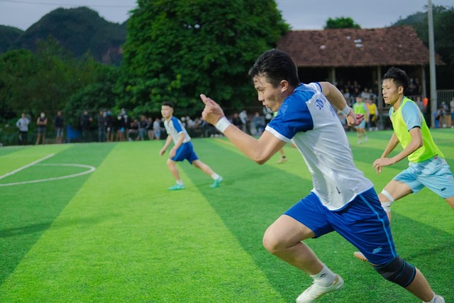 这无疑为篮 这无疑为篮