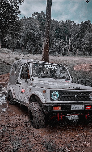 一颗璀璨之 一颗璀璨之